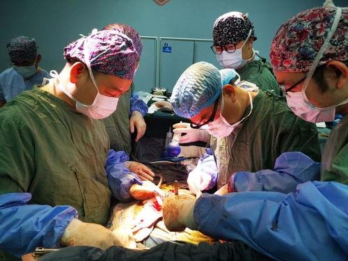 移植手术 第二季