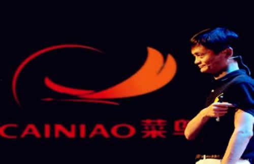 这个菜鸟有亿点强,亿点强背后的逆袭传奇