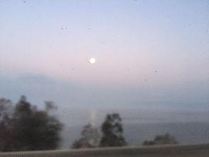 橄榄树悲泣之地,探寻历史与自然的交融