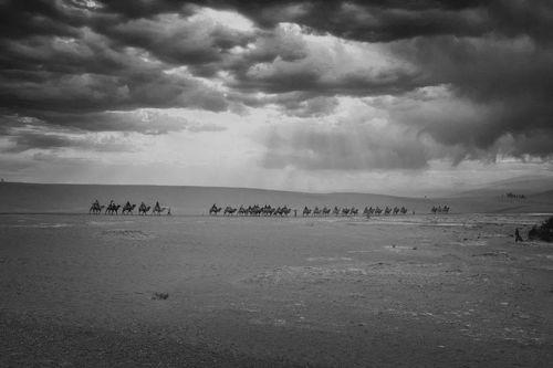 远行他方,探寻未知世界的旅程