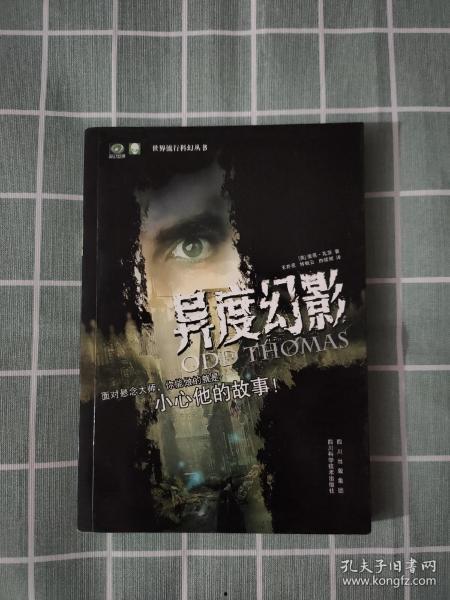 异度幻境,探索虚拟与现实交织的异度幻境之旅