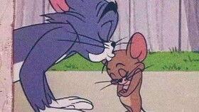 老鼠爱上猫,一场跨越物种的浪漫邂逅